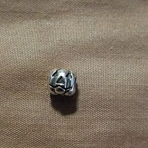 Pandora charm